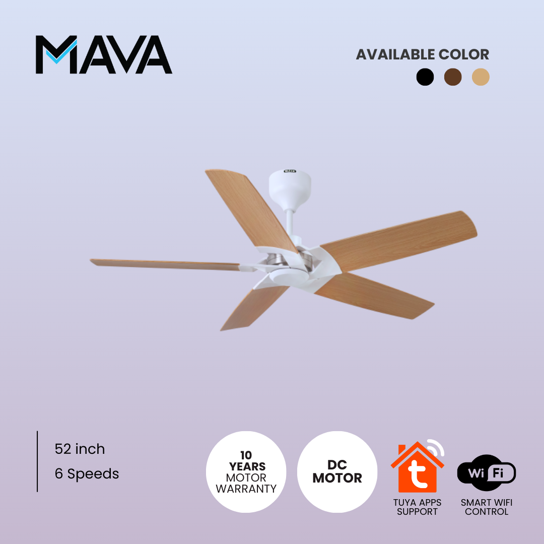 [Mava] asper 52